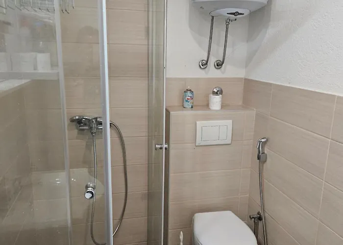 Bascarsija Lejla Free Parking 公寓